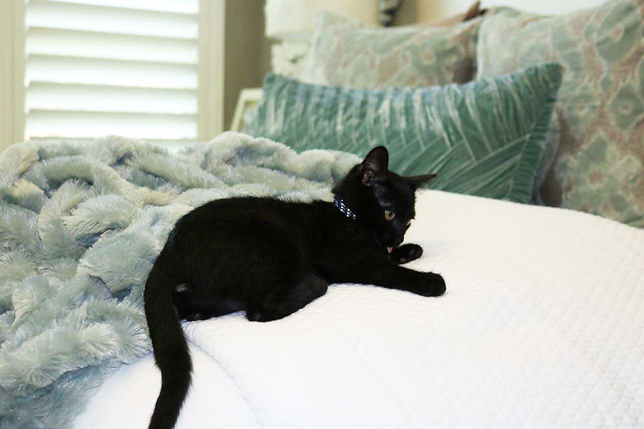 how to refresh your master bedroom in 4 easy steps