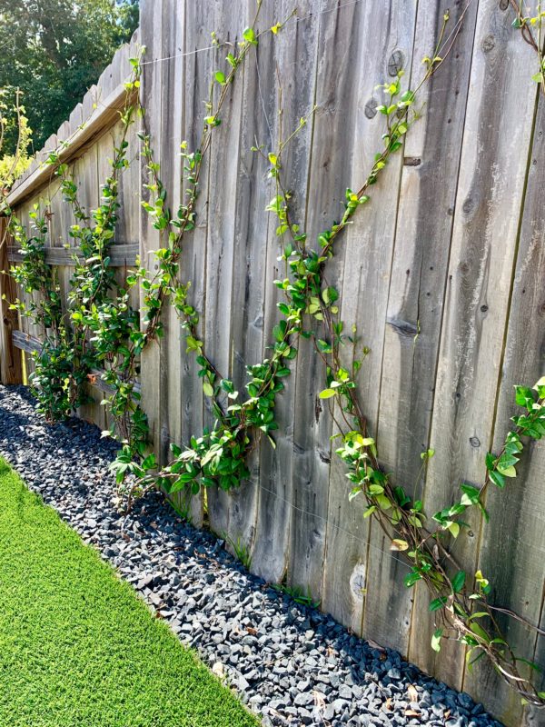 MRI, Melissa Roberts Interiors, Houston Interior Design, Houston Interior Designers, Beaumont Interior Designers, Houston, Texas, Pool Design, Outdoor Kitchen Design, How to Design an Pool, Swimming Pool Designs, Swimming Pool Design for Small Backyard, Patio Extension, Backyard Design, Backyard landscape ideas, How to build an inground swimming pool, modern swimming pool design, modern swimming pool, what to expect when remodeling your patio, what to expect when adding a swimming pool, what does a pool cost, outdoor oasis. Step by step remodeling process, building a swimming pool progress pictures, Mediterranean, modern Mediterranean, modern Mediterranean pool, pool water feature, outdoor kitchen appliances, outdoor lighting, landscaping around a pool, backyard landscaping