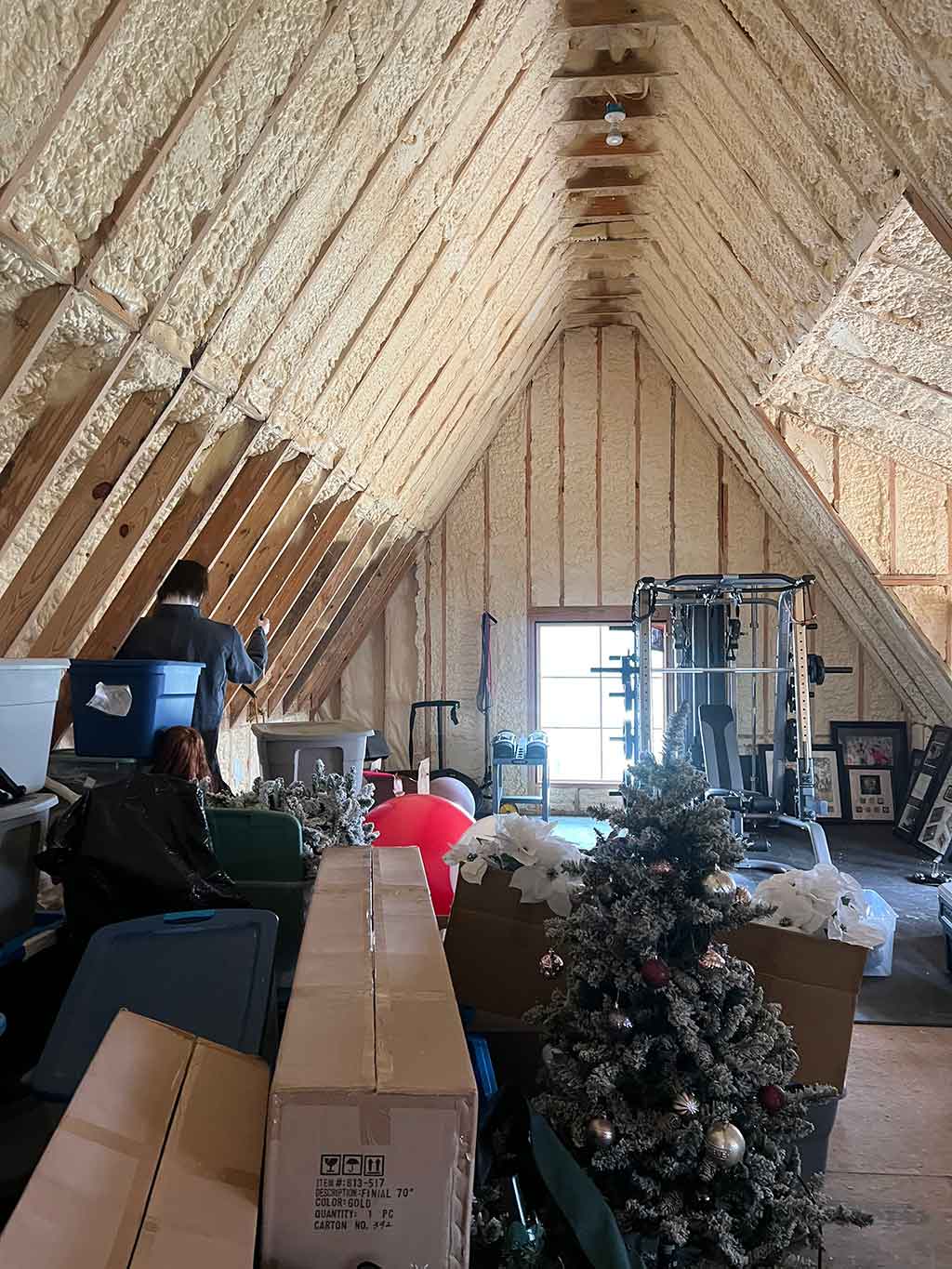 Pine Wood Meadows II - BEFORE Pine Wood Meadows II - BEFORE