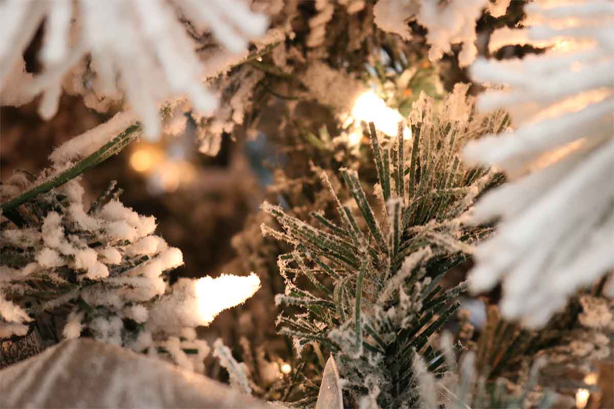 how to decorate your Christmas tree like a pro